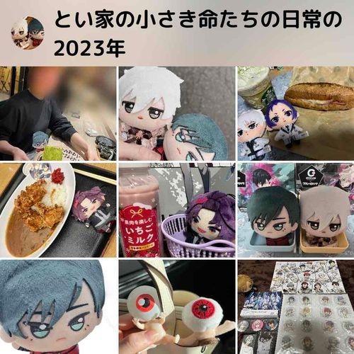 2023年もあとわずか…
今年は色んな事があったけど
推し達がいるから辛い事があっても悲しいことがあっても楽しめたんだよね。
2024年も楽しく推し活出来ますように！