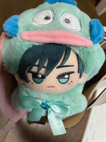 主:そう言えば昨日推しのぬいコス届いたから推しに着せた‼️かわゆ🥺