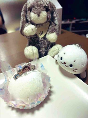 この前食べたケーキも見て！しろたんと奪い合うぐらい美味しかった！仲良く半分こしたヨ。