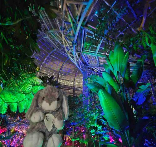 この前植物園行ったよ〜夜に行くと幻想的～