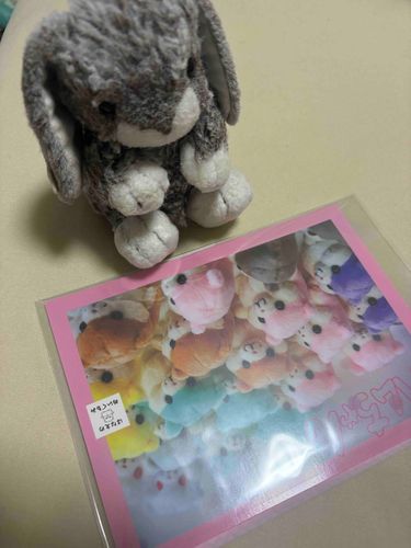 ちょっと前に可愛い写真集買ったよ