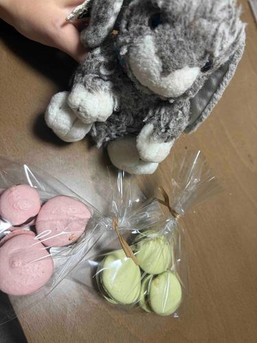 無印良品の手作りキットでマカロン作った！ぜーんぶむくぴの♡