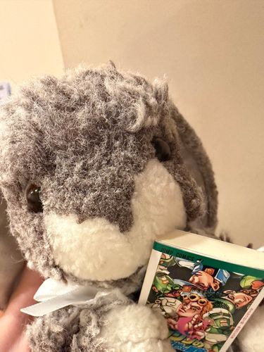 ガチャガチャでぬいぐるみにピッタリサイズのジョジョの奇妙な冒険出てた！回したら大好きな5部！人間サイズででっかく読むのもいいけど手元で気軽に読めるのも良き〜！