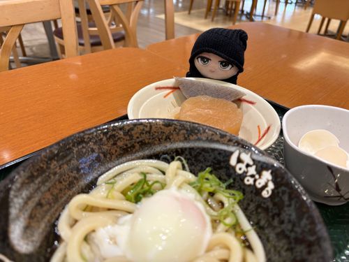 ごはん🍚