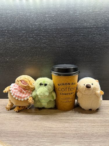 ボクの同居人を紹介します🌱
左から、
・サンショウウオの『つよし』、
・ワニの『まりも』です🌱
『つよし』は小さいけど気が超強いよ🌱
あと、めっちゃ大きな弟がいるよ🌱
『まりも』は引っ込み思案の甘えたさん🌱
いつも下を向いてるよ🌱