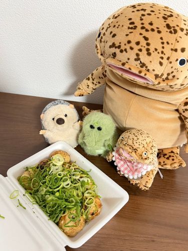 たこ焼きだ🌱
ここだけのはなし、
主はソース味も隠してるよ🌱