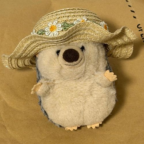 かけこみ！麦わらぼうし👒
（梱包材の上で失礼）
