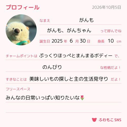 ぼくのプロフィールだよ🌷