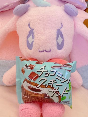 おやつわよ🍫🌿