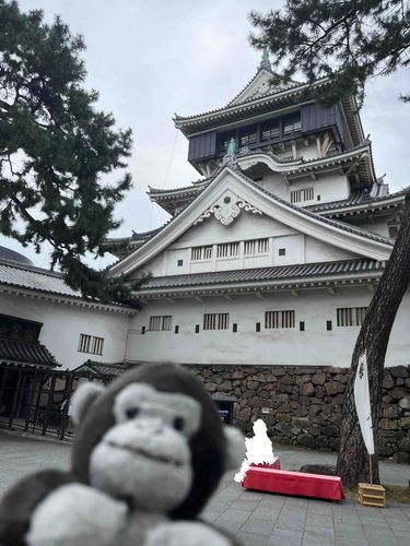 小倉城、だ！
すごくおおきかった！
かっこよかったぞ！
はと🐦がいっぱい、いた！
