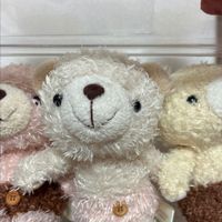 ⭐︎しろくま