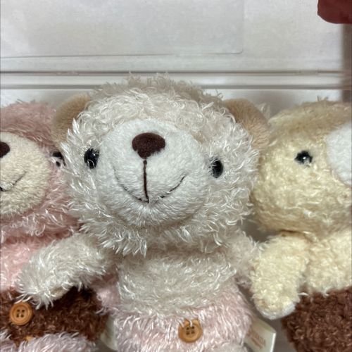 よろしくおねがいします〜