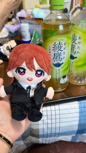 れいあぬとお茶🍵
ぬい主は綾鷹含め緑茶が好きだから、れいあぬも好きになってね