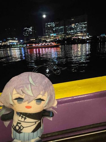 海から見るフジテレビだよ
#屋形船🚤