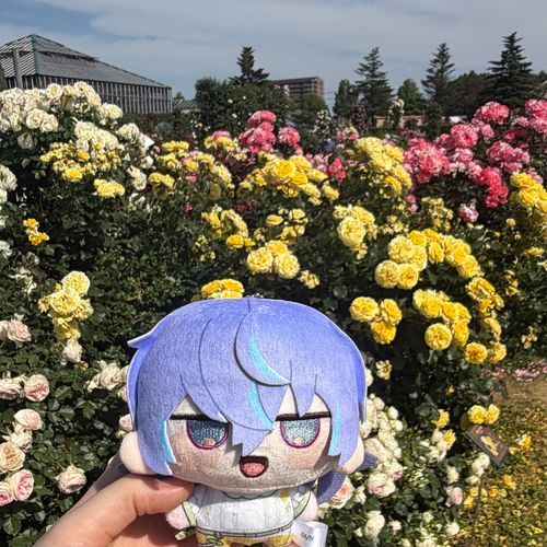 いいお天気でよかったね〜🌹