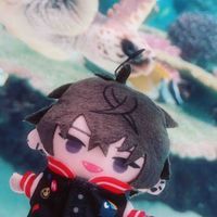 ぬい達とのくらし