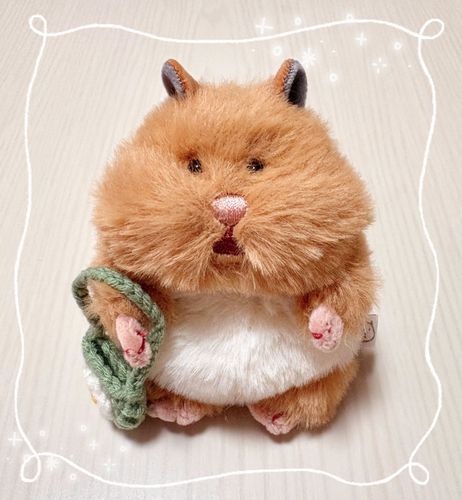 新入り🐹のはむにぎり
「みたらしおもち」と命名
