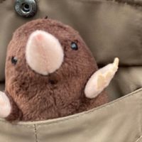 もぐら