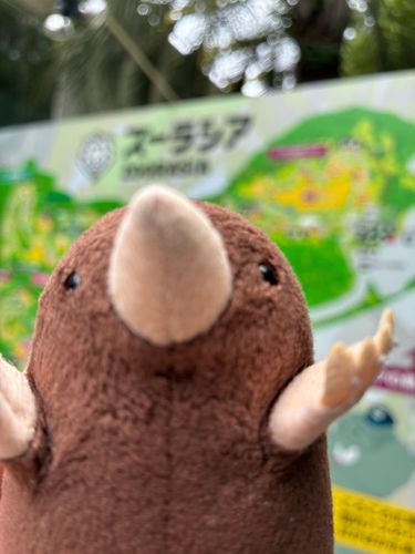 にちようびはもちぬしとおともだちといっしょにずーらしあ？ってところにいってどうぶつをたくさんみました