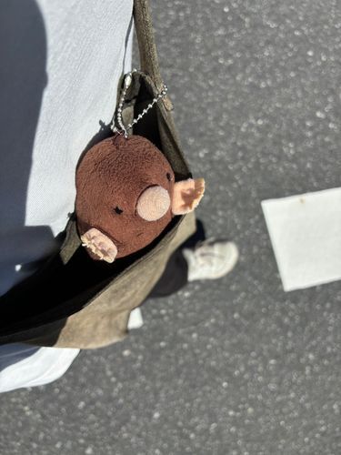 さいきんもちぬしのおともだちが『ちょうどいいかばん』をくれたので、ポケットがなくてもおそとをまんきつできるようになりました！！