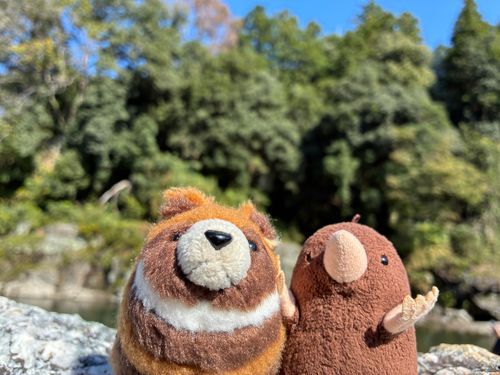 持ち主がやっと僕のアカウントも用意してくれました!
これは一緒にでかけてるもぐらと長瀞で撮ったお写真です!雲ひとつないお天気でお出かけ日和でした!