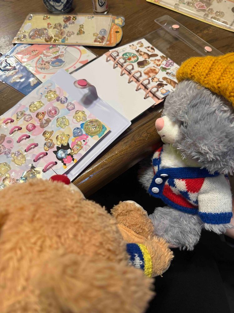 ごん、ぶらんにいといっそに、ばばんちいてきた
ばばんちで、おとーとのとらちゃん🐰としるちょこかん、した
とらちゃん、ぷくりしーる、たくしゃんもてる
ごんのおきにりりと、こかんこした
ごんのしるちょ、しゅごくなた

またしーるかって、とらちゃんと、こかんこしゅる🐻‍❄️🐰