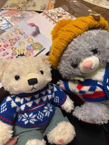 ごん、ぶらんにいといっそに、ばばんちいてきた
ばばんちで、おとーとのとらちゃん🐰としるちょこかん、した
とらちゃん、ぷくりしーる、たくしゃんもてる
ごんのおきにりりと、こかんこした
ごんのしるちょ、しゅごくなた

またしーるかって、とらちゃんと、こかんこしゅる🐻‍❄️🐰