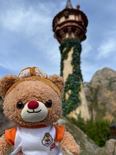 やっほー！ぶらんだよ！
これで、でずにーしーのにっきは、おしまい！
すいてたからねえ、にんきのあとらくしょん、ぜんぶのれたのー！
あなゆきに、らぷんつぇるに、そありんに、ぴーたーぱんに、といすとーりー！
たのしかった！
ひとがすくないからね、ぶらんたちのおしゃしんも、いろいろとってもらったよ！
おしゃしんとってたら、おんなのこがね、かわいいっていってくれたんだ！えへへー！
また、みんなで、でずにーいきたいなあ！
みんな、おしゃしんみてくれてありがとう！