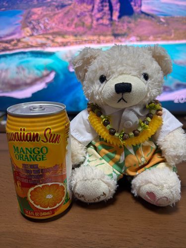ちゅくって、わくわく🐻‍❄️✂️
はわいのじゅちゅ、のんだあと
うえののむとこ、じゃりじゃりで、こしゅると、とれる
そしたら、ふでばこのかんせ🐻‍❄️
ごんは、あぶないて、ままがゆて、だから、ままにがんばれのおしごと、した🐻‍❄️