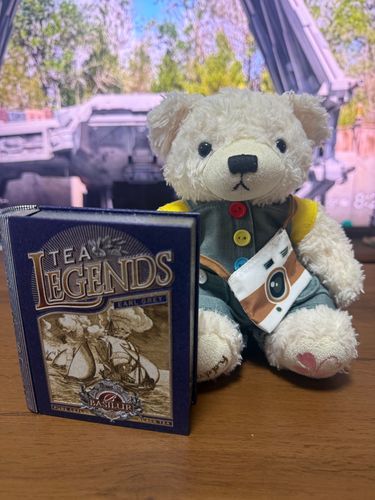 ままが、じゅっととっといてる、おちゃ🐻‍❄️☕️
ばしーらーちーていう、がいこくのおちゃのおみせ
かんかんが、かこいいごほんのかたち
なかのおちゃのふくろも、むかしのごほんみたいに、なてる
ちょと、あけるのもたいない…🐻‍❄️