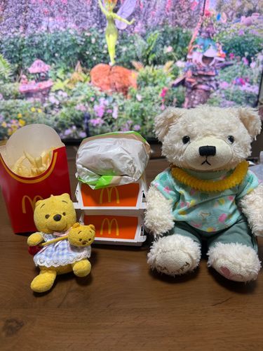 はい、ぷーこゆ
ごんちゃんもいるゆよ

ぷーこ、ねね（ごんちゃんのまま）のいろはおえのいべんと、つきそいしたゆ
がくやまで、いっしょにいったゆ
ねね、きんちょーしてたゆから、びしっといってあげたゆ
うまくいったみたいゆ

つきそいのごほうびに、まっくかってくれたゆ
おるすばんしてたごんちゃんたちと、いっしょにたべたゆ
ろうどうのあとの、ごちそうは、おいしいゆね