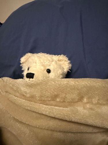 ままが、しゅごくちゅよい、おかぜなた
ままくいしんぼ、だけど、ごはん、ちともたべない
まま、いちゅもおしゃべり、でも、おしゃべりしない
ごん、しょいね、してる
まま、ぎゅ、してくれる
ごん、もちょと、しょいね、しゅる
