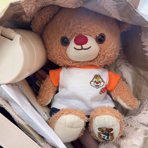 ぶらんだよ…
ひそひそおしゃべりだよ…
ぶらんはね、ままとおでかけするとき、こうやって、かばんにはいってるの…！
びょーいんいったり、ままのいろはおえいったりするの…！

なにも、おかしかってくれないときも、あるけどね…
でも、しゅたばとか、さいぜとか、つれてってくれるときもあるよ…！
このときはね、さいぜつれてってくれたの…！ちょこけーきおいしかった！