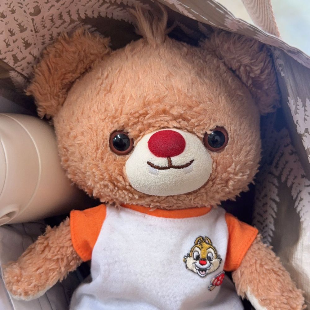 ぶらんだよ…
ひそひそおしゃべりだよ…
ぶらんはね、ままとおでかけするとき、こうやって、かばんにはいってるの…！
びょーいんいったり、ままのいろはおえいったりするの…！

なにも、おかしかってくれないときも、あるけどね…
でも、しゅたばとか、さいぜとか、つれてってくれるときもあるよ…！
このときはね、さいぜつれてってくれたの…！ちょこけーきおいしかった！