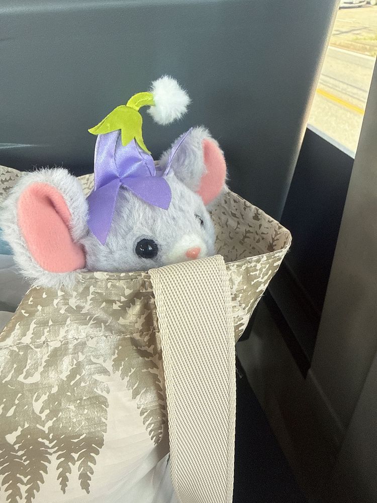 ちゅ🐭❣️
ち、ちちゅ🍔🐭☀️

ちゅ、ちち、ちゅーー🚌🐭
ちゅ、ちゅ🐭💗🚌

ちゅ、ち、ちゅ🐭🐾