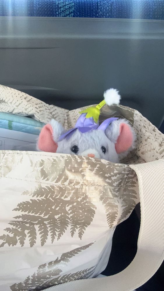 ちゅ🐭❣️
ち、ちちゅ🍔🐭☀️

ちゅ、ちち、ちゅーー🚌🐭
ちゅ、ちゅ🐭💗🚌

ちゅ、ち、ちゅ🐭🐾