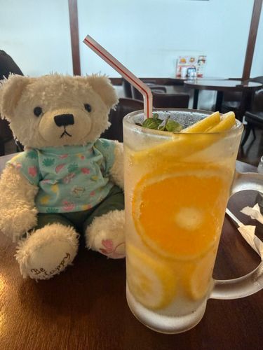 ごん、ひぶしさりに、おとなのことした
ほしのこーしー、いてきた🐻‍❄️☕️
ままのおえかき、ちゅきあた
ごんもおえかきした
じゅーちゅは、れもねーど
くりーむしょだが、よかたけど、おっきのしかなかた
れもねーど、ちょとにがい。おとなのじゅちゅ…むふー🐻‍❄️🍋