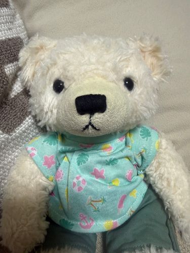 くいじゅ　ごんのきもちはなんでそ
みっちゅ、おさしんとった
みんな、どのきもちか、あててみて🐻‍❄️