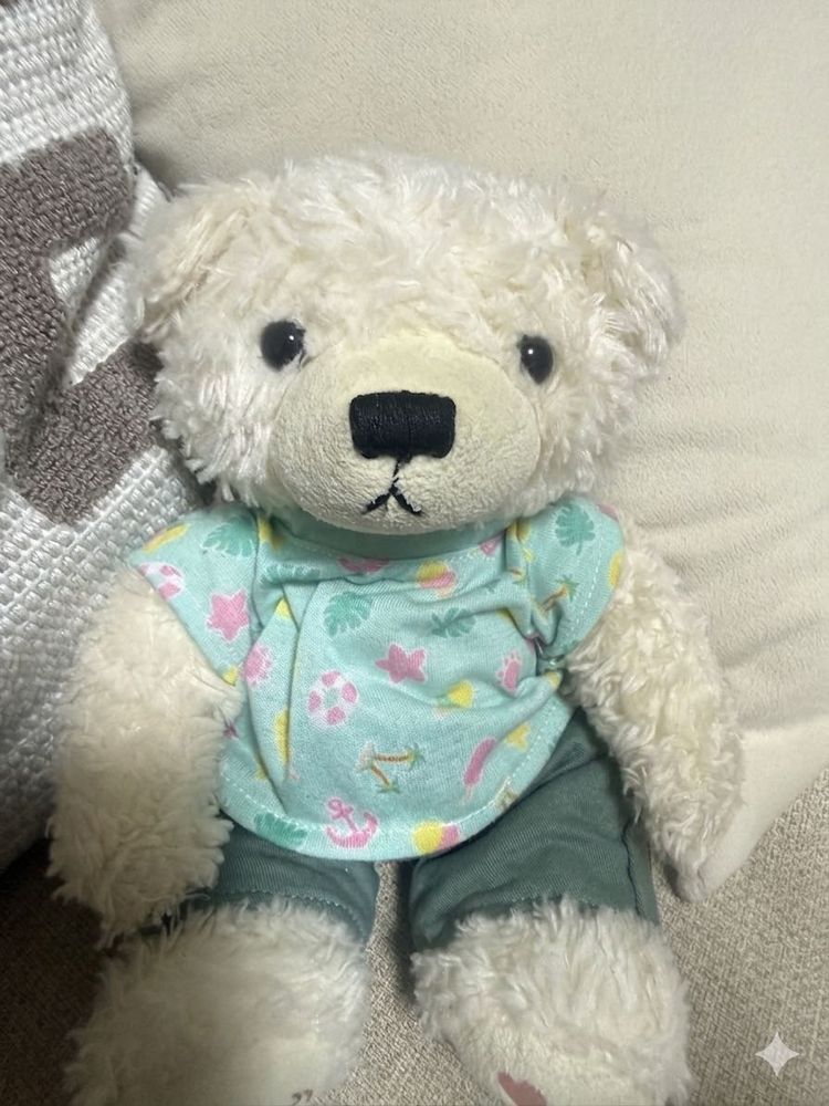 くいじゅ　ごんのきもちはなんでそ
みっちゅ、おさしんとった
みんな、どのきもちか、あててみて🐻‍❄️