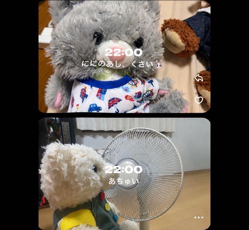 ごん、せっとろぐ、ていうやちゅはじめた
いちびょのどうが、たくしゃんとて、おともだちと、こうかんこしゅるやちゅ
ごんは、ばばんちの、ににとおとうとたちと、せっとろぐしてる
うえが、ばばんちのきょーだい
したは、ごんち
みんななにしてるかわかて、たのし🐻‍❄️
