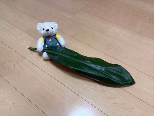 じゃじゃん
みんな、このはぱ、してる？
ちーりーふ、ていう、はわいのはぱ
まま、いろはおえのせんせから、もらてきた
ちーりーふは、わるいこと、やちゅけてくれるはぱ
30かいねんねしないと、しおしおならない。ちゅよいはぱ
はぱをちょきんして、ばてんして、ねんねしゅると、わるいこと、いなくなる

はぱのかたいとこ、けんみたいでかこい🐻‍❄️⚔️
まま、あぶないてゆて、ごんからとた。…ぷ🐻‍❄️