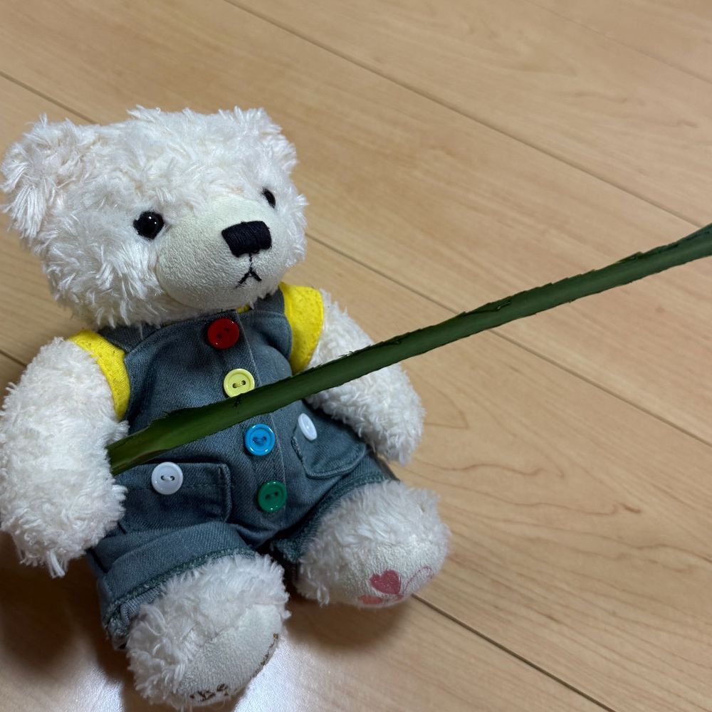 じゃじゃん
みんな、このはぱ、してる？
ちーりーふ、ていう、はわいのはぱ
まま、いろはおえのせんせから、もらてきた
ちーりーふは、わるいこと、やちゅけてくれるはぱ
はぱをきて、ばてんして、ねんねしゅると、わるいこと、いなくなる

はぱのかたいとこ、けんみたいでかこい🐻‍❄️⚔️
まま、あぶないてゆて、ごんからとた。…ぷ🐻‍❄️
