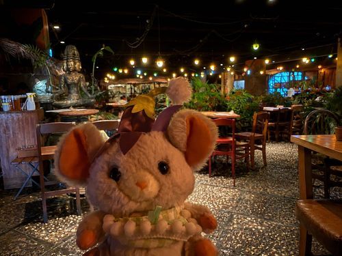 ちゅ🐭❗️
ちぃず🐭❗️
おんも🐭❗️
ごはん🐭❗️