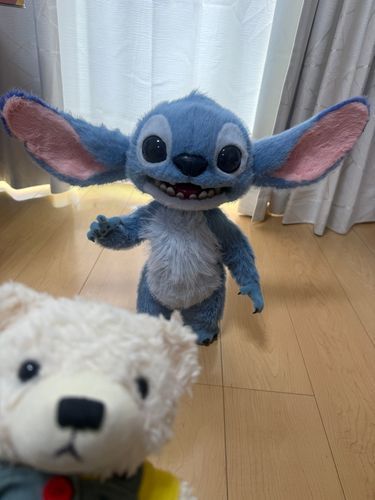 ごん、おうちで、あそんでた
そしたら、ばごん！おきなおと、おにわでした
けむり、もくもく
みにいたら、うちゅせん、おちてた🐻‍❄️🛸
そりで、あおいおけけ、えりあん、おりてきた
えりあん、はぁい　て、はなした
すてぃち、ておなまえ、みたい

このこ、だれ🐻‍❄️
ごん、あやしとおもう🐻‍❄️