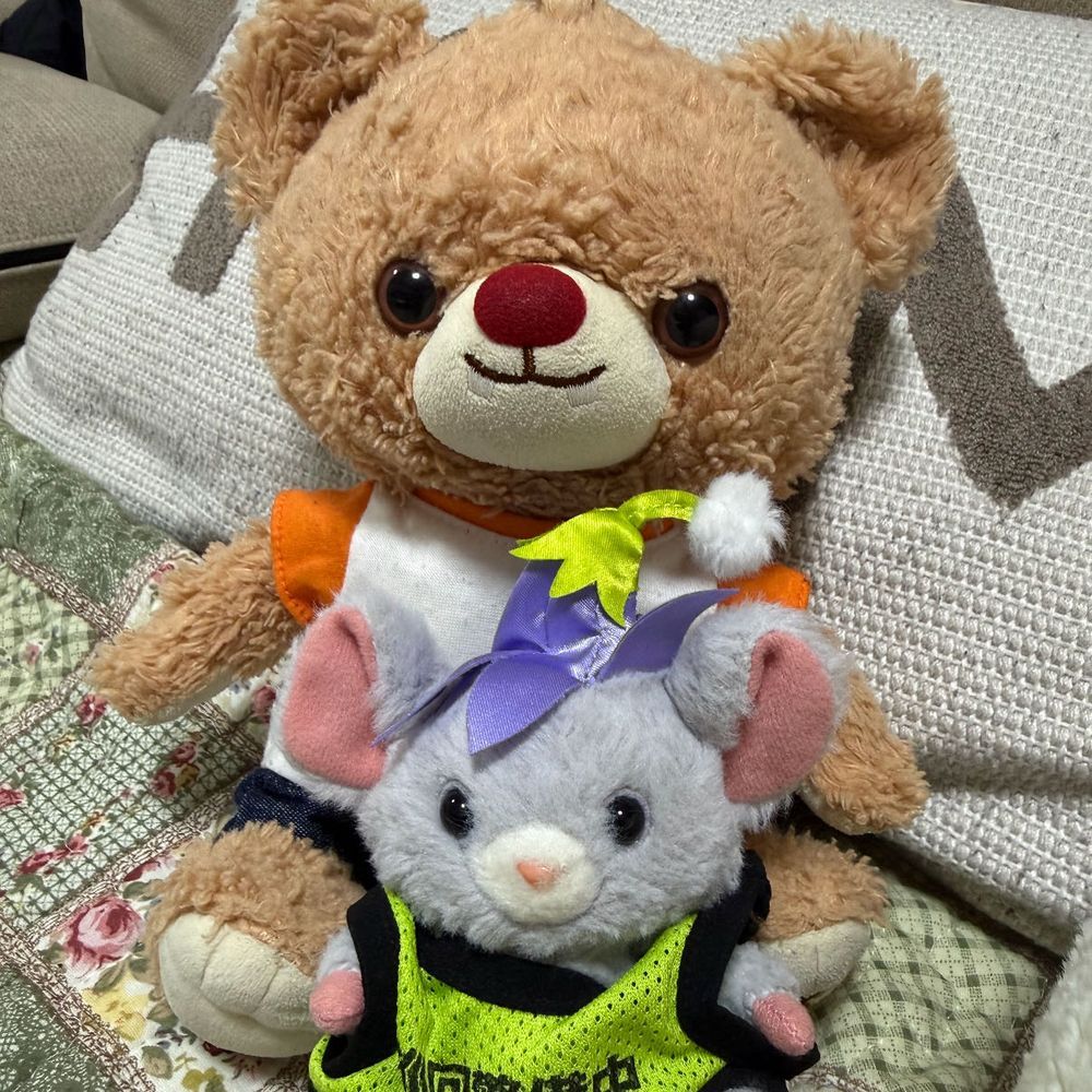 やっほーぶらんだよ!
みんなひさしぶりー!
ぶらんたち、ままんちにかえってきたよ!
ばばのおせわ、たいへんだったー!
ぶらんがいないあいだに、ちぃずがおしゃべりじょうずになってたり
すてぃっちがかぞくになったり
いろんなことがあったみたい!
ぶらんびっくり!
つぎのさくらのときまで、ぶらんままんちにいるから、
またふわもこでみんなとおしゃべりしたい!
よろしくねー!