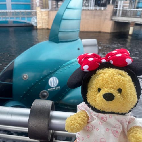 やっほーなの　ぷーたなの
ぷーた、きのうでずにーしー、いってきたなの！
たくさんあそんだなの！
にもといっしょにおよいだり、おやちゅたべたり、ちいちゃなひまわりさんにもあったなの！
チップとデールといっしよにいったなのから、ふたりのおしゃしんもつぎのせるなの！