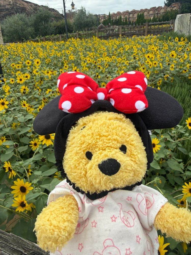 やっほーなの　ぷーたなの
ぷーた、きのうでずにーしー、いってきたなの！
たくさんあそんだなの！
にもといっしょにおよいだり、おやちゅたべたり、ちいちゃなひまわりさんにもあったなの！
チップとデールといっしよにいったなのから、ふたりのおしゃしんもつぎのせるなの！
