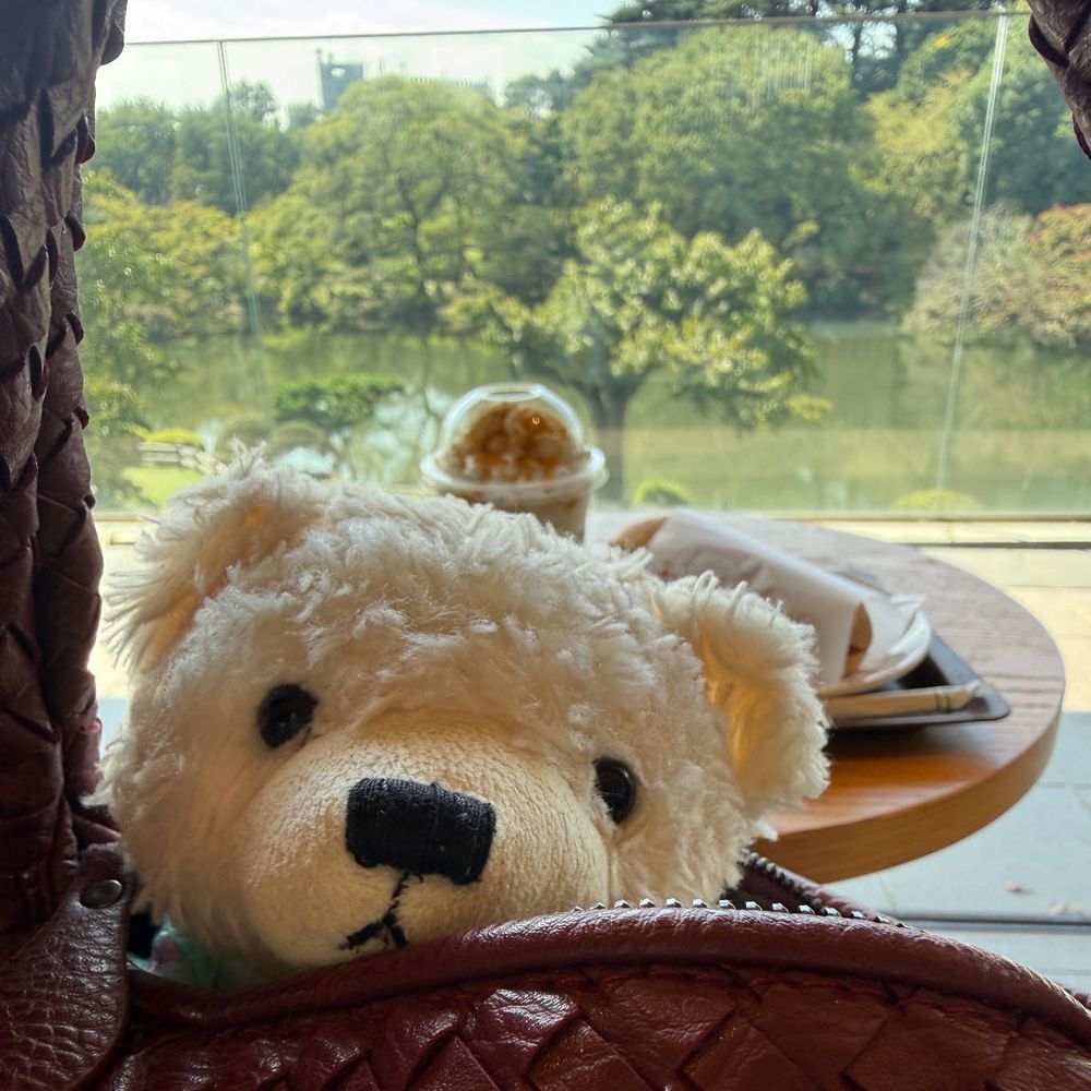 ごん、しんじゅくの、おっきなこーえん、いてきた
おっきなおいけ
すけすけのおーちのなかに、いろんなはっぱしゃんとおはなしゃん
はわいのおいももあった。みっちゅめのおさしん。
よんまいめのおさしん、こーえんのなかのしゅたば
こーえんのおっきなおいけ、みて、おやちゅのじかんした
がいこくのひと、いぱいいて、ちょとどきどきした
ごん、ままのかばん、かくれんぼした