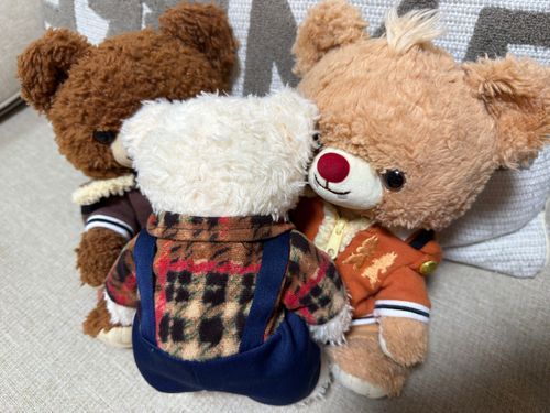 みんな、しんぱいかけてごめんもん
もんたちは、なかなおりしたもん
ごんちゃんが、しじゅかに、もんたちのとこきて
もんとぶらんを、ぎゅーしてくれたもん
そりで、むかむかのきもちが、おちちゅいたもん
そのあと、ごんちゃんが、もんとぶらんのおててをにぎにぎしてくれたもん
もんはににもんから、さきにごめんしたもん
そしたら、ぶらんもごめんしたもん
だから、ゆるしてあげたもん
ごんちゃんは、おとーとなのに、えらかもん
もんも、もっとににに、ならないと、いかんもんね
