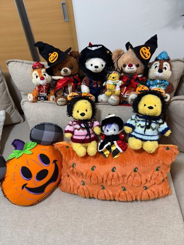 みんな　はぴはろいん🐻‍❄️🎃
ごんたち、みんなで、かそーした
だれが、なにか、わかる？
にまいめのおさしん、すてぃっちたちは、はろいんおめかし
はろいんぼうしと、はろいんおりぼん🐻‍❄️🎀
おかしいぱいもらえるかな、むふー
